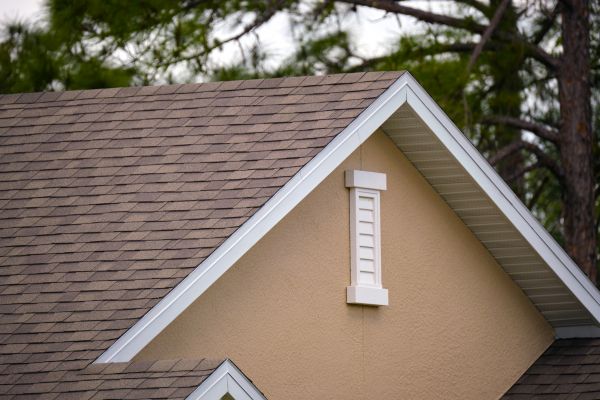 Roof Trim Repair Service