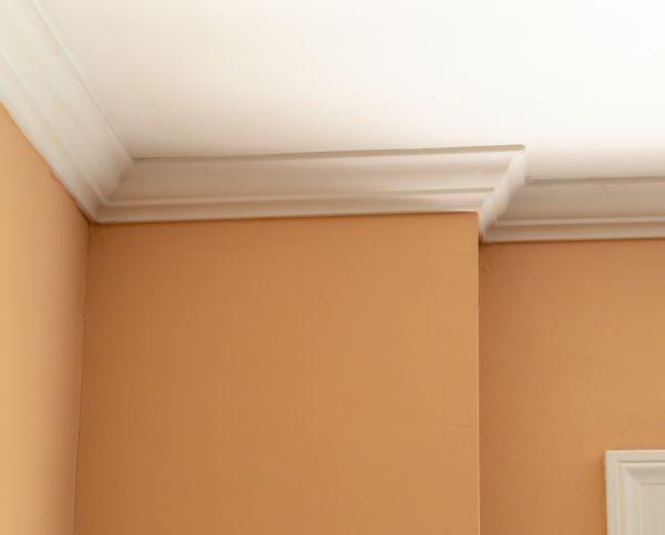 Trim Renovation Service