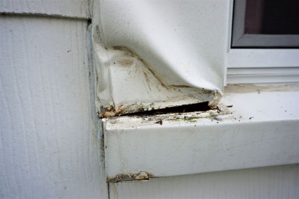 Wood Window Trim Repair Service